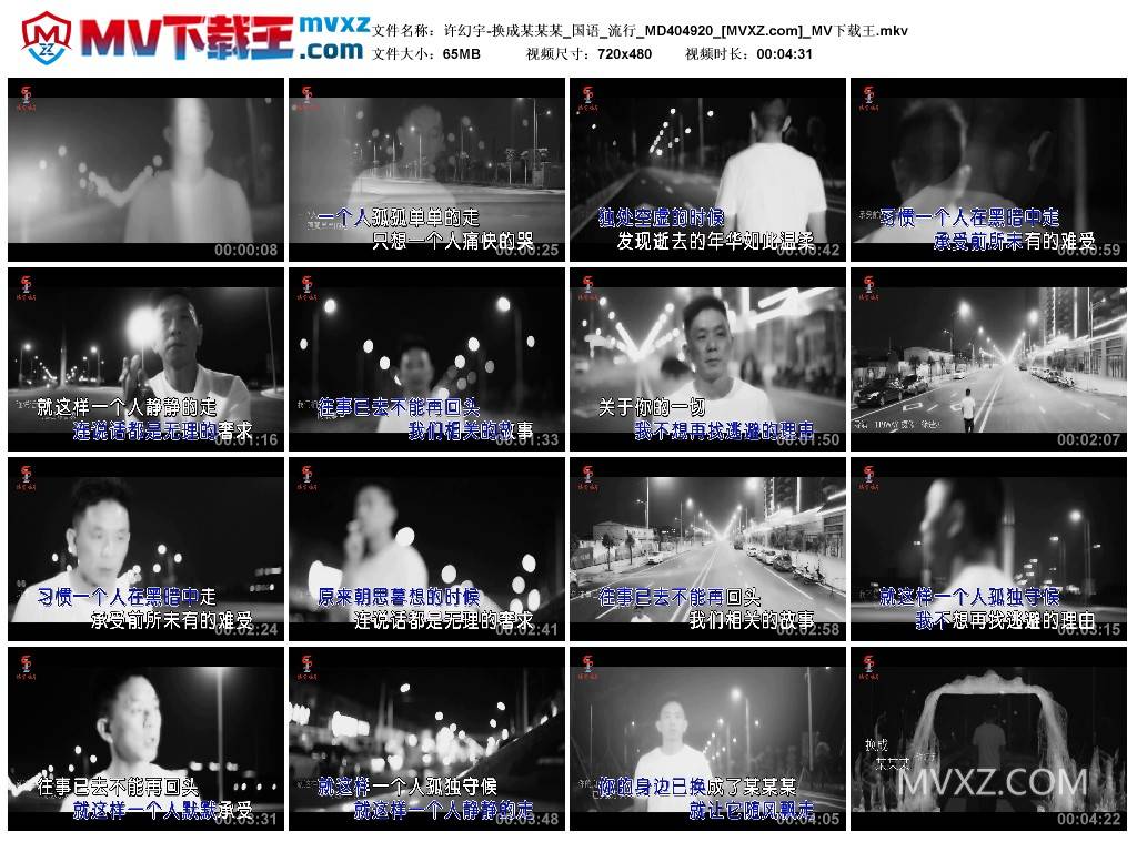 许幻宇-换成某某某_国语_流行_MD404920